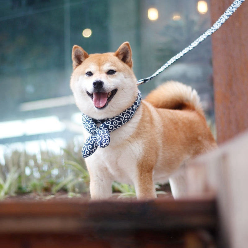 HKM-165331 Japanese Style Cotton Pet Collar for Dogs ¨C Comfortable and Warm with Unique Patterns