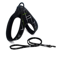 HKM-334099 Colorful Soft Dog Leash with Adjustable Harness for Small and Medium Dogs