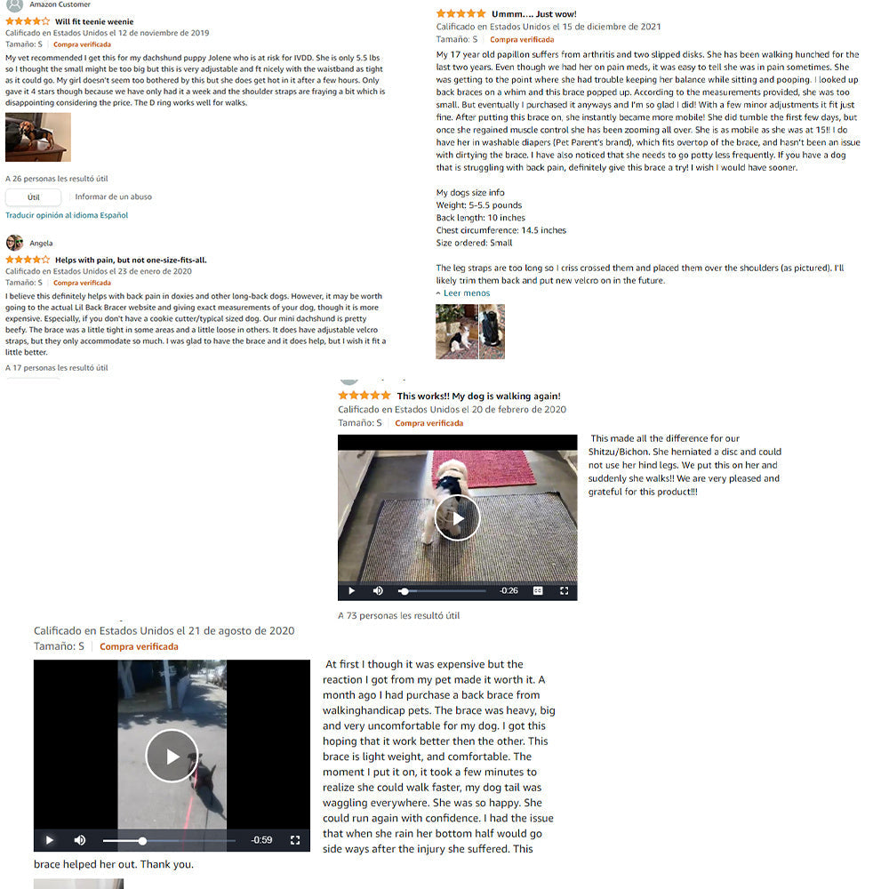 JMT-341066 Adjustable Back Brace for Dogs with IVDD, Arthritis, and Surgical Recovery Support