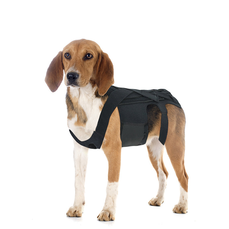 JMT-341066 Adjustable Back Brace for Dogs with IVDD, Arthritis, and Surgical Recovery Support