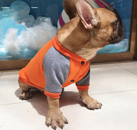 HKM-423699 Cashmere-Blend Two-Legged Clothing for Small and Medium Dogs - Comfortable Leisure Wear