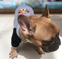 HKM-423699 Cashmere-Blend Two-Legged Clothing for Small and Medium Dogs - Comfortable Leisure Wear