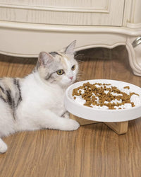 HKM-208915 Ceramic Slow Feed Pet Bowl for Cats and Small Dogs - Promotes Healthy Eating Habits