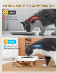 HKM-208915 Ceramic Slow Feed Pet Bowl for Cats and Small Dogs - Promotes Healthy Eating Habits