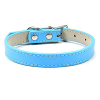HKM-526931 Pet PU Leather Collar with Wire Buckle in Various Colors and Sizes