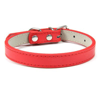 HKM-526931 Pet PU Leather Collar with Wire Buckle in Various Colors and Sizes