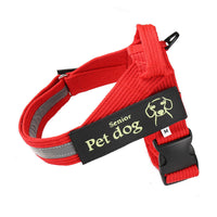 HKM-057299 Adjustable Nylon Dog Leash and Chest Harness in Blue, Black, and Red - Multiple Sizes Available