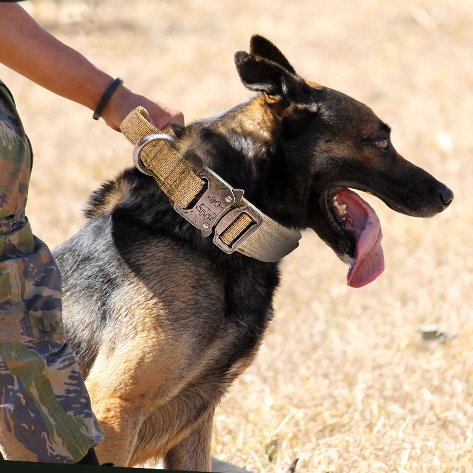 HKM-383507 Nylon Wear-Resistant Tactical Dog Collar for Medium and Large Dogs - Adjustable and Durable