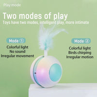HKM-610067 Cat Feather Teaser Ball with Irregular Movement for Active Play and Scratching
