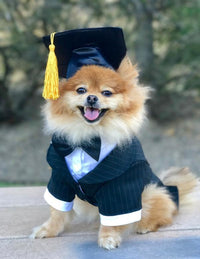 HKM-651923 Pet Graduation Cap with Yellow Tassel for Dogs - Black Cloth Design, One Size Fits All