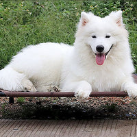 HKM-957971 Moisture-Proof Removable Washable Pet Bed with Oxford Cloth and Metal Frame