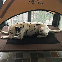 HKM-957971 Moisture-Proof Removable Washable Pet Bed with Oxford Cloth and Metal Frame