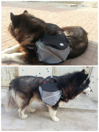 HKM-559827 Pet Carrier Backpack for Outdoor Adventures with Dogs