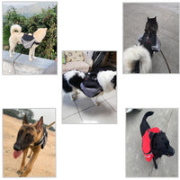 HKM-559827 Pet Carrier Backpack for Outdoor Adventures with Dogs