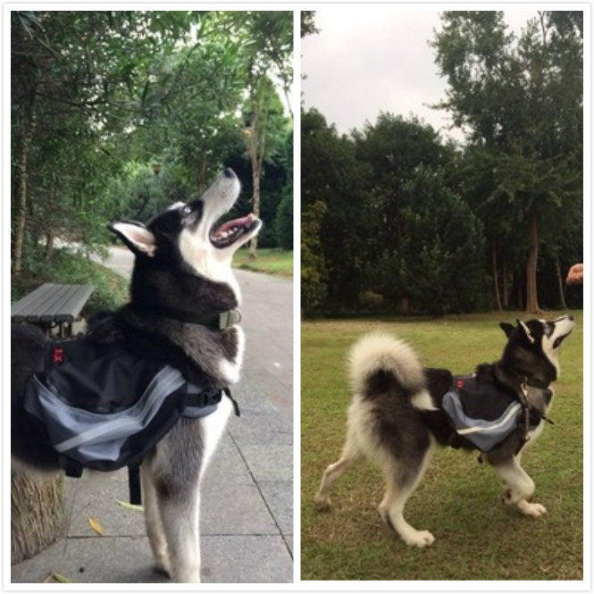 HKM-559827 Pet Carrier Backpack for Outdoor Adventures with Dogs