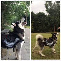 HKM-559827 Pet Carrier Backpack for Outdoor Adventures with Dogs