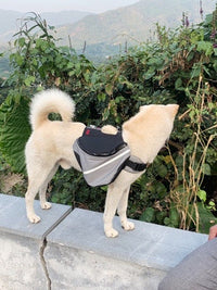 HKM-559827 Pet Carrier Backpack for Outdoor Adventures with Dogs