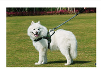 HKM-687635 Durable Nylon Dog Leash with Adjustable Chest Strap for Medium to Large Dogs