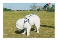 HKM-687635 Durable Nylon Dog Leash with Adjustable Chest Strap for Medium to Large Dogs