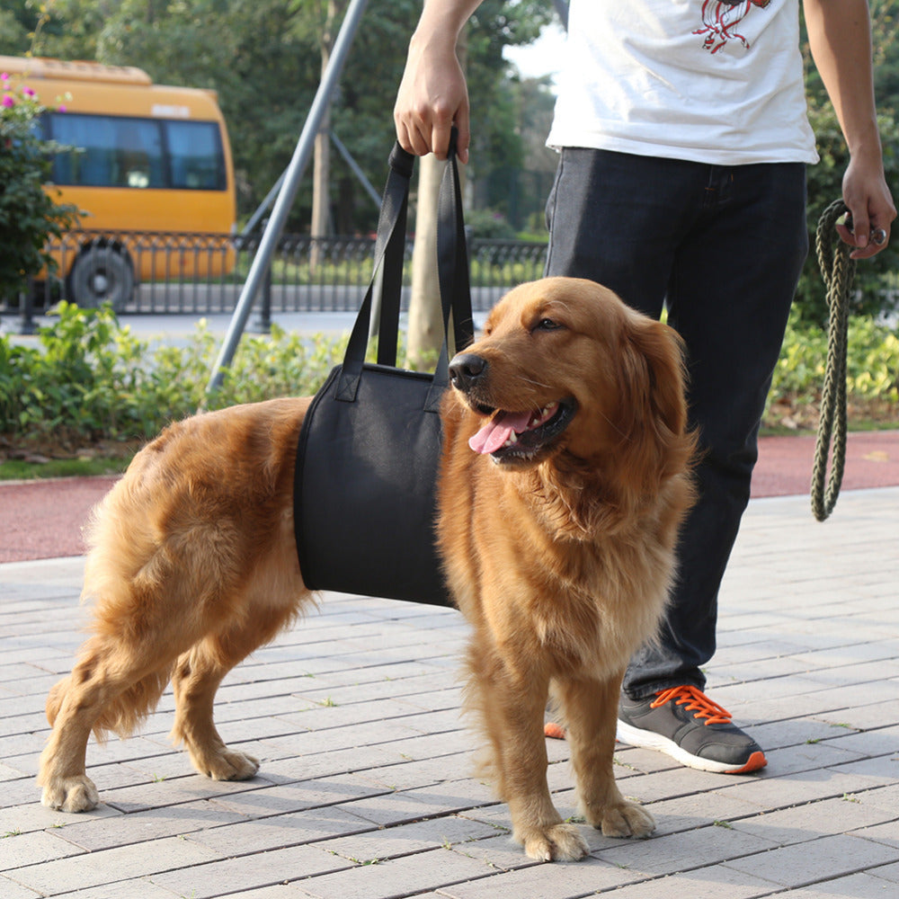 HKM-373779 Pet Assistance Dog Leash Auxiliary Belt for Easy Car and Stair Access