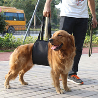 HKM-373779 Pet Assistance Dog Leash Auxiliary Belt for Easy Car and Stair Access