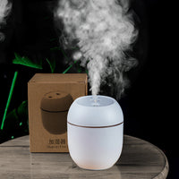HKM-092435 Large Capacity Mini USB Spray Humidifier for Home and Car - Simple and Practical Design