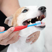 HKM-507027 360-Degree Dual-Head Dog and Cat Toothbrush with Anti-Slip Handle for Effective Dental Care
