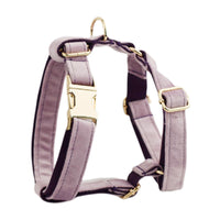 HKM-489043 Soft Velvet Dog Collar Set with Leash, Bow, Flower, Vest, and Poop Bag - Adjustable Sizes XS to XL