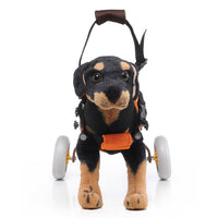 HKM-757267 Adjustable Pet Wheelchair for Dogs - Support for Disabled Pets, Suitable for 4-9KG