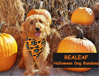 HKM-356691 Reversible Halloween Dog Bandana with Pumpkin and Spider Web Designs for Pets, Adjustable Fit up to 16 Inches
