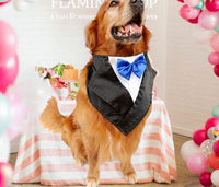 HKM-814291 Elegant Dog Tuxedo Triangle Scarf ¨C Adjustable Neck Size 57-67Cm, Silk Fabric with Waterproof Nylon Base in Red, Blue, and Purple