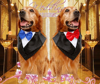 HKM-814291 Elegant Dog Tuxedo Triangle Scarf ¨C Adjustable Neck Size 57-67Cm, Silk Fabric with Waterproof Nylon Base in Red, Blue, and Purple