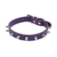 HKM-119059 Durable Anti-Bite Rivet Dog Collar and Leash for Small and Medium Dogs - Multiple Colors Available