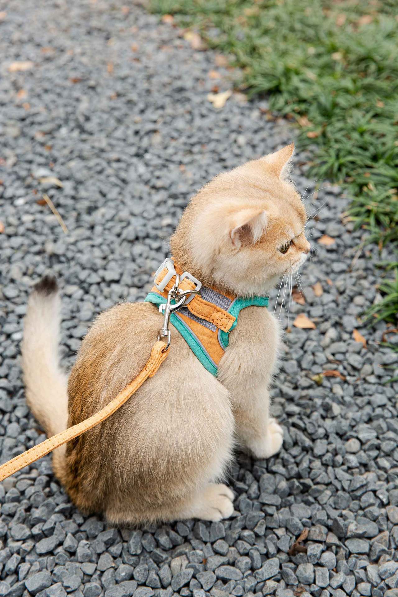 HKM-341011 Reflective Vest-Style Cat Harness with Anti-Stroke Resistance and Traction Rope for Safe Walking