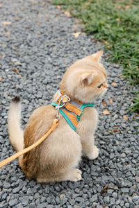 HKM-341011 Reflective Vest-Style Cat Harness with Anti-Stroke Resistance and Traction Rope for Safe Walking