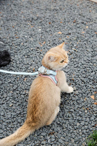 HKM-341011 Reflective Vest-Style Cat Harness with Anti-Stroke Resistance and Traction Rope for Safe Walking