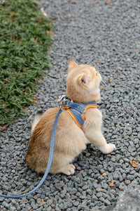 HKM-341011 Reflective Vest-Style Cat Harness with Anti-Stroke Resistance and Traction Rope for Safe Walking