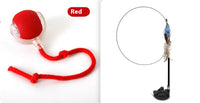 HKM-495955 Interactive Cat Toy Ball with Auto Shut-Off and Three Speed Modes