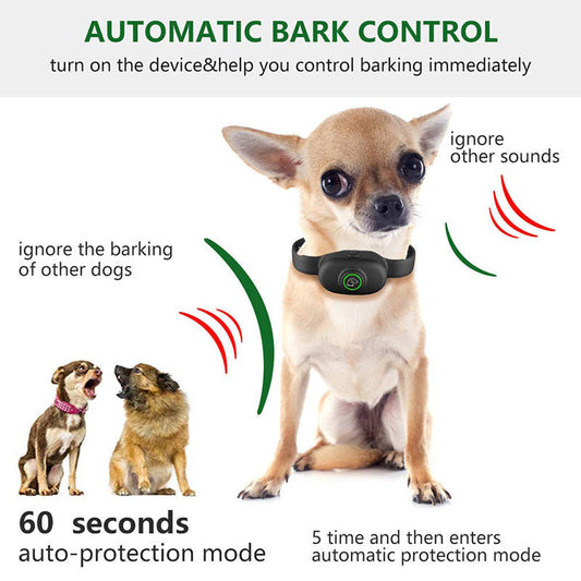 HKM-432083 Remote Control Dog Training Collar - Plastic Device for All Seasons, Orange and Black Options Available