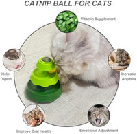 HKM-527571 Interactive Cat Toy with Catnip Balls and Two-Level Track for Mental Stimulation and Exercise