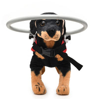 HKM-494163 Anti-Collision Ring for Blind Dogs - Adjustable Polyester Safety Harness in Blue or Red, Suitable for All Seasons, Size S & M Available