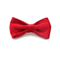 HKM-477523 Red Velvet Pet Collar and Leash Set with Gold Buckle and Bowknot for Christmas
