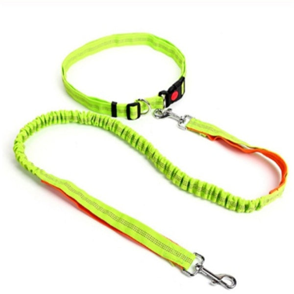 HKM-540755 Adjustable Traction Rope Dog Leash with Elastic Waistband and Reflective Strip