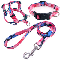 HKM-173011 Pet Collar Rope Chest Strap Traction Set in Various Colors and Sizes S/M/L