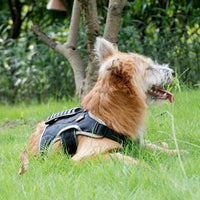 HKM-539923 Reflective Edge Pet Harness for Enhanced Visibility and Safety