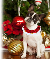 HKM-438995 Christmas Dog Collar with Bells - Soft Red and White Neckwear for Small to Large Dogs