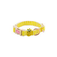 HKM-251603 Fashionable Pastoral Flower and Fruit Pet Leash Set in Pineapple Yellow and Peach Powder