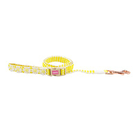 HKM-251603 Fashionable Pastoral Flower and Fruit Pet Leash Set in Pineapple Yellow and Peach Powder