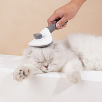 HKM-837011 Pet Grooming Comb for Cats and Dogs - Detachable Bristle Design for Easy Hair Removal and Massage Care