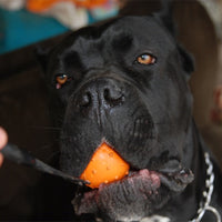 HKM-542227 Durable Rubber Dog Training Ball with Rope for Small to Medium Dogs